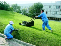 ������Ա��ѵ���� ������ѵ�̲� �������๫˾ ���ݱ��๫˾ ���ݾƵ걣�����