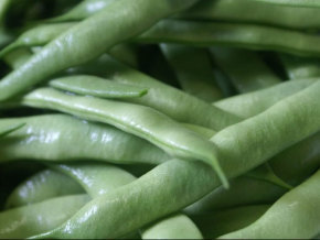 �����ļ���