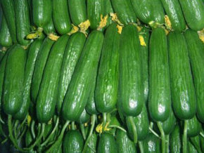 ����С�ƹ�